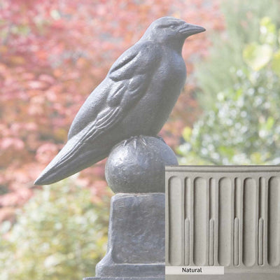 Natural Patina for the Campania International Raven Statue is unstained cast stone, the brightest and whitest finish that will age.