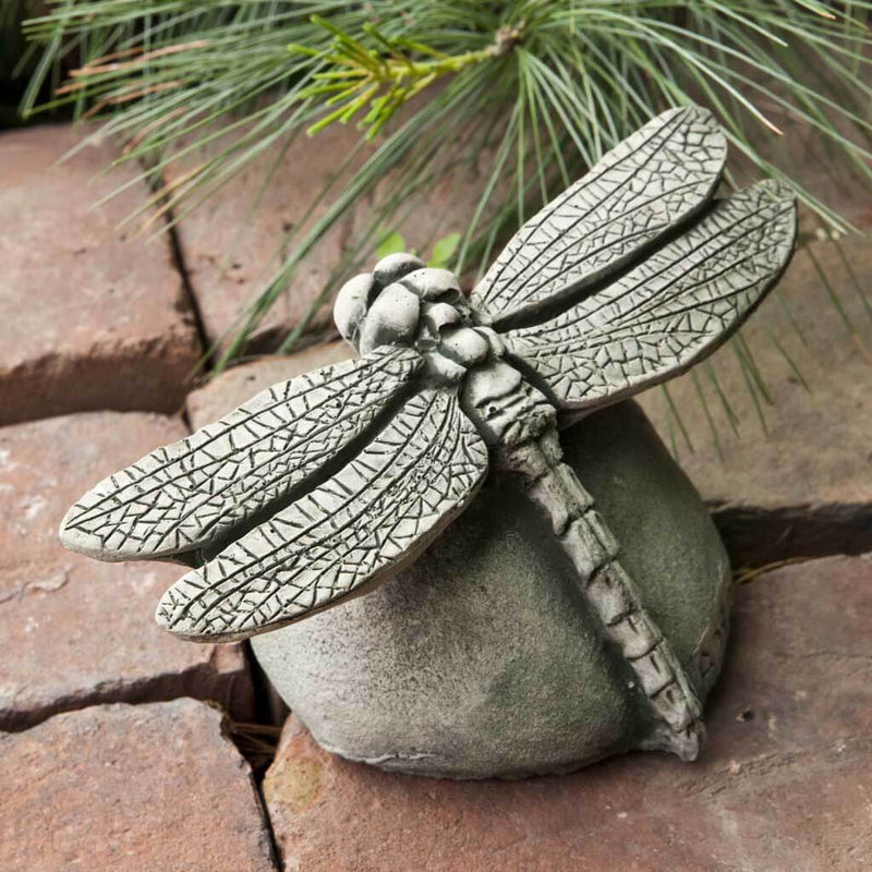 Campania International Dragonfly Statue, set in the garden to add charm and character. The statue is shown in the Alpine Stone Patina.