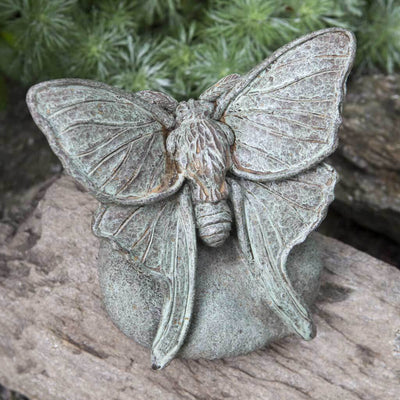 Campania International Lunar Moth Statue stained in the Copper Bronze  patina, the ideal color for this garden statue.