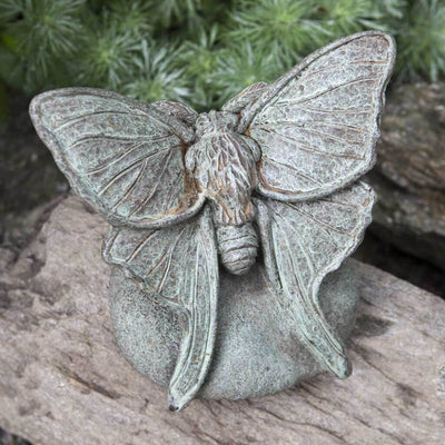 Campania International Lunar Moth Statue, set in the garden to add charm and character. The statue is shown in the Copper Bornze Patina.
