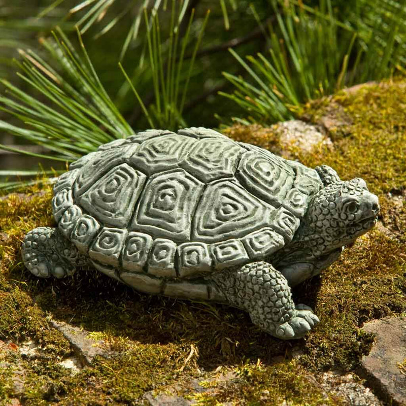 Campania International My Pet Turtle Statue, set in the garden to add charm and character. The statue is shown in the Alpine Stone Patina.