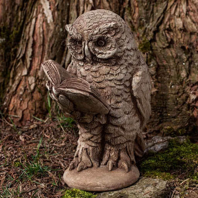 Campania International Scholarly Owl Statue, set in the garden to add charm and character. The statue is shown in the Brownstone Patina.