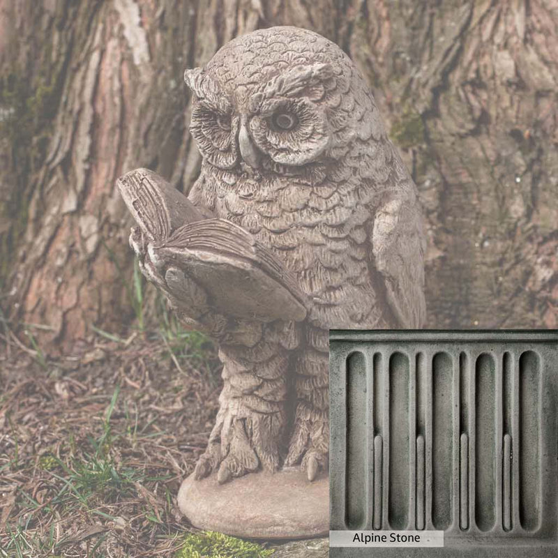 Alpine Stone Patina for the Campania International Scholarly Owl Statue, a medium gray with a bit of green to define the details.
