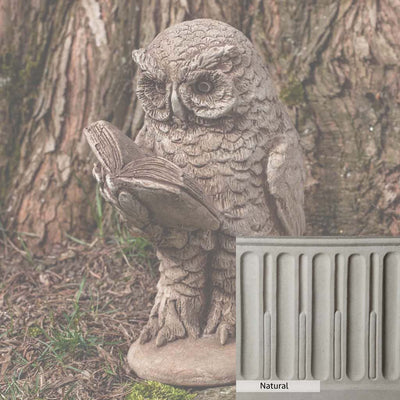 Natural Patina for the Campania International Scholarly Owl Statue is unstained cast stone, the brightest and whitest finish that will age.
