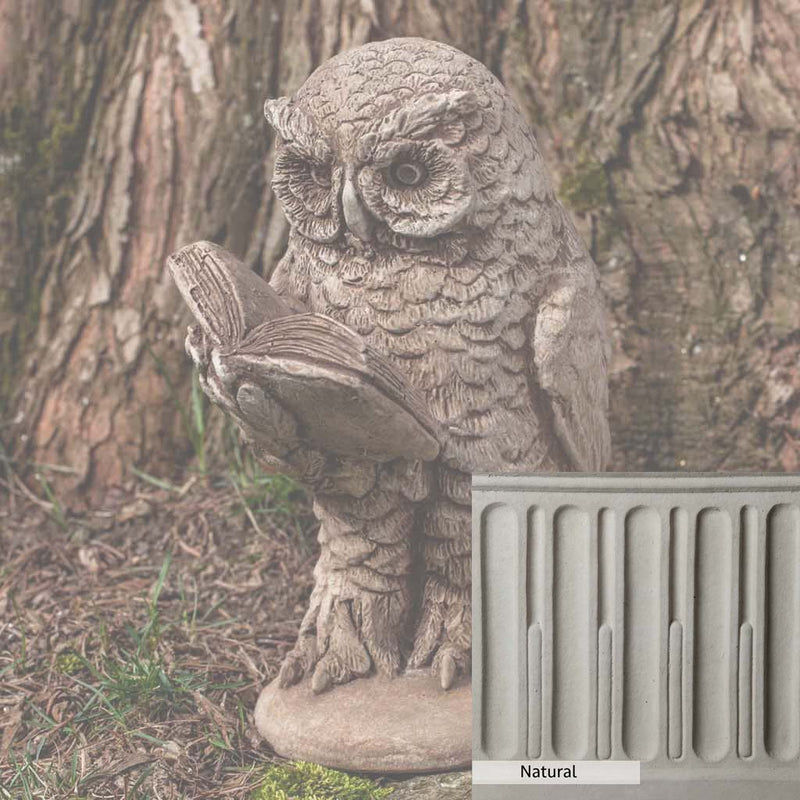 Natural Patina for the Campania International Scholarly Owl Statue is unstained cast stone, the brightest and whitest finish that will age.