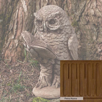 Pietra Nuova Patina for the Campania International Scholarly Owl Statue, a rich brown blended with black and orange.