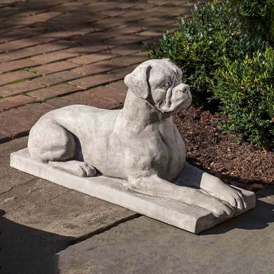 Campania International Boxer Statue stained in the Greystone  patina, the ideal color for this garden statue.