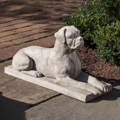 Campania International Boxer Dog Statue is a classic capture of the Boxer's inquisitive personality. Posed as if studying the birds and squirrels, this Boxer is a very good dog. Shown in the classic Greystone patina showinfg off the smooth contours of this statue.