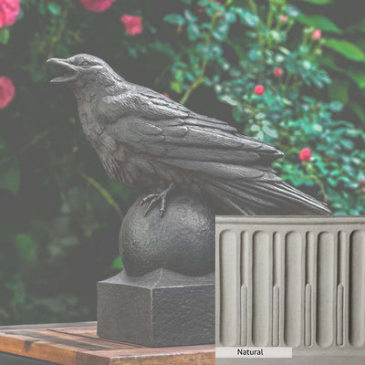Natural Patina for the Campania International Corvus Statue is unstained cast stone, the brightest and whitest finish that will age.