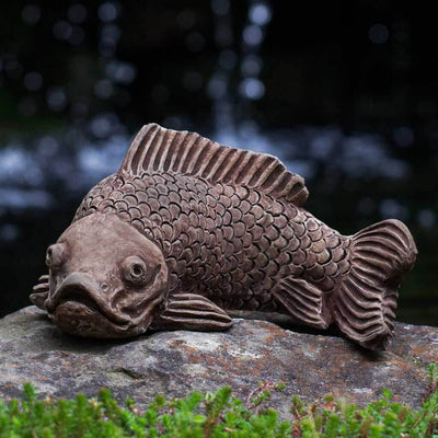 Campania International Large Koi Statue stained in the Brownstone  patina, the ideal color for this garden statue.