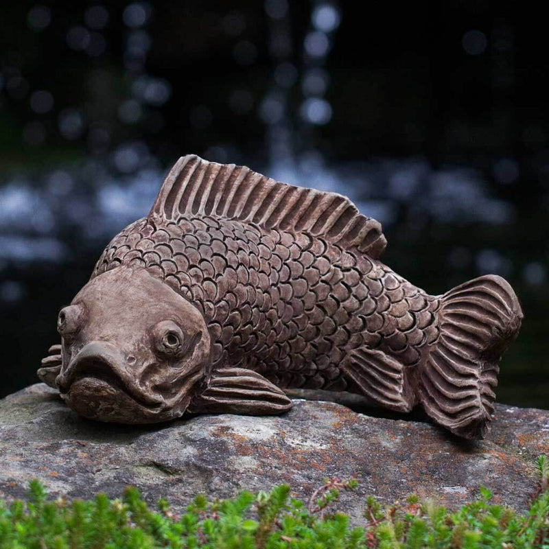 Campania International Large Koi Statue stained in the Brownstone  patina, the ideal color for this garden statue.