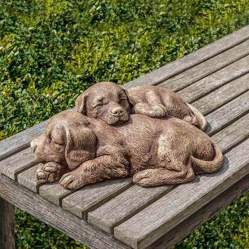 Campania International Nap Time Puppies Dog Statue is a statue we can all relate too. Nap time is the best time and even better with puppies. Shown in the Brownstone Patia accenting all the wonderful details of this charming garden statue.