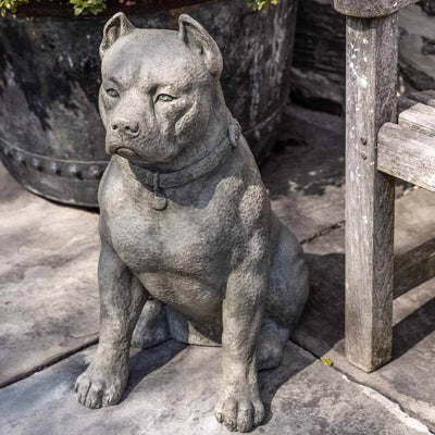 Campania International Lucky Dog Statue stands true and strong. Lucky the Pit Bull Dog Statue is shown in the Alpine Stone Patina.