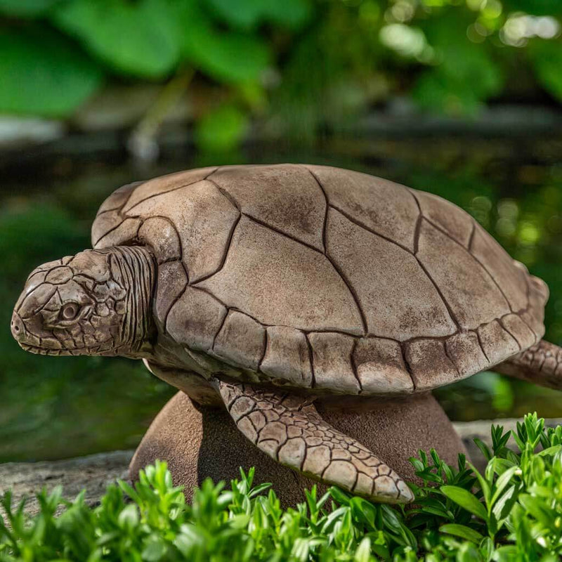 Campania International Large Sea Turtle Statue, set in the garden to add charm and character. The statue is shown in the Brownstone Patina.