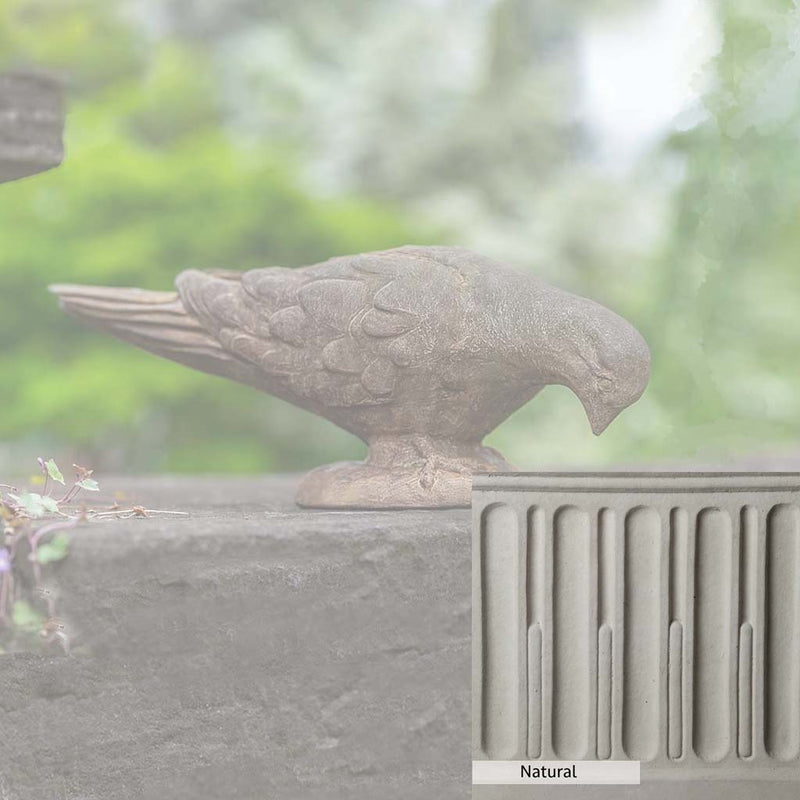 Natural Patina for the Campania International French Dove Statue is unstained cast stone, the brightest and whitest finish that will age.