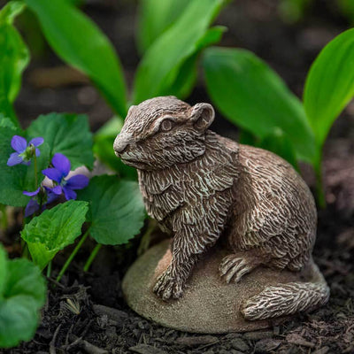 Campania International Chippy Statue, set in the garden to add charm and character. The statue is shown in the Brownstone Patina.