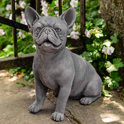 Campania International Frenchie Dog Statue stained in the Alpine Stone patina, the ideal color for this garden statue.