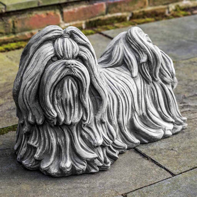 Campania International Shih Tzu Dog Statue is so full of character, with all the wonderful catpured in the Alpine Stone Patina.