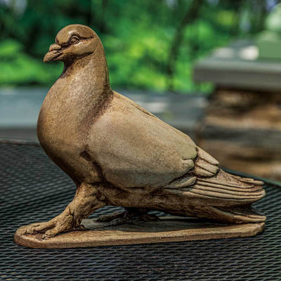 Campania International Large Dove Statue, set in the garden to add charm and character. The statue is shown in the Brown Stone Patina.