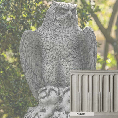 Natural Patina for the Campania International August Owl Statue is unstained cast stone, the brightest and whitest finish that will age.