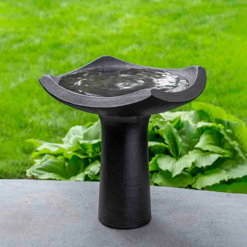 Campania International Oslo Birdbath, hand-painted in the deep black Nero Nuovo color.