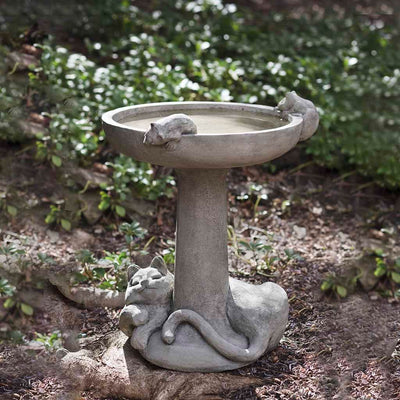 Campania International Catnap Birdbath, shown in the Alpine Stone color, highlighting and enriching the details of the cast stone.
