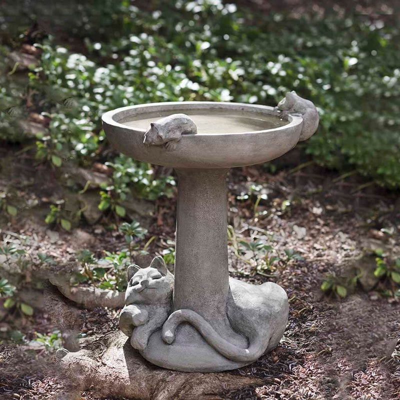 Campania International Catnap Birdbath, shown in the Alpine Stone color, highlighting and enriching the details of the cast stone.