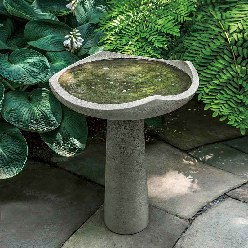 Campania International Medium Oslo Birdbath, displayed in Greystone, a classic garden gray and a best-selling color.
