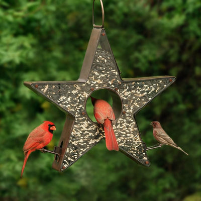 Good Directions Copper Star FlyinThru™ Bird Feeder
