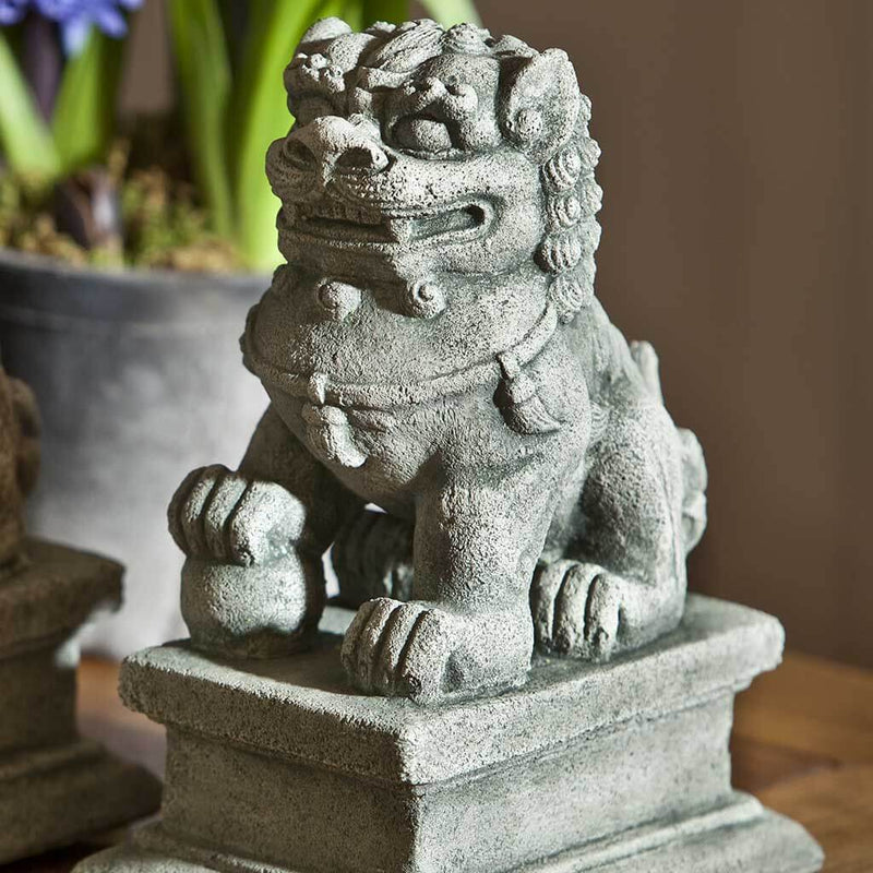 Campania International Small Temple Foo Dog Right Dog Statue, set in the garden to adding charm an meaning. The statue is shown in the Alpine Stone Patina.