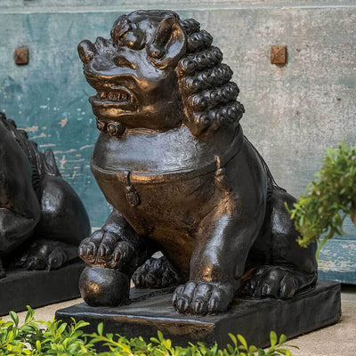 Campania International Traditional Foo Dog Male Statue, set in the garden to adding charm an meaning. The statue is shown in the Nero Nuovo Patina.