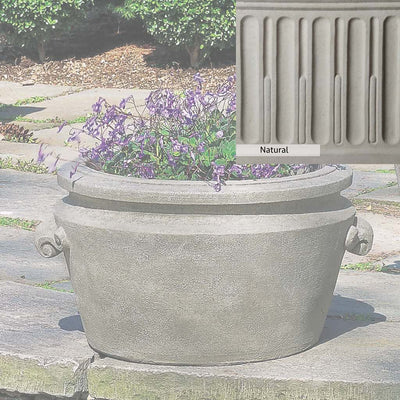 Natural Patina for theCampania International Scroll Handle Tub Planter is unstained cast stone, the brightest and whitest finish that will age.