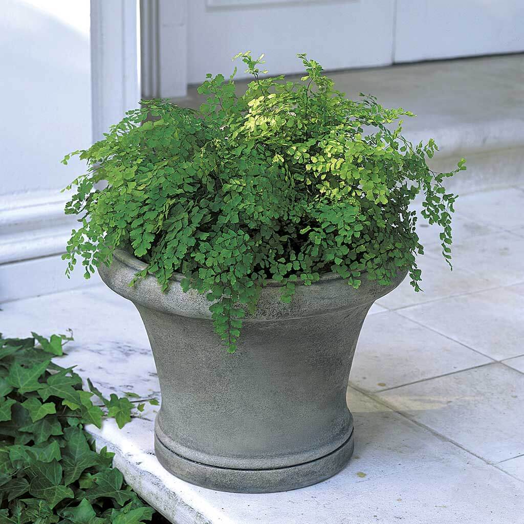 outdoor stone plant pots Westport Planter by Campania International Greystone
