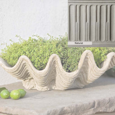 Natural Patina for theCampania International South Seas Planter is unstained cast stone, the brightest and whitest finish that will age.