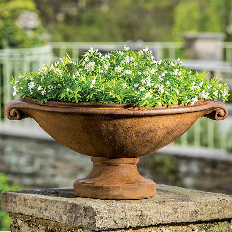 Campania International Medici Small Planter, displayed in the best-selling hand-applied color.