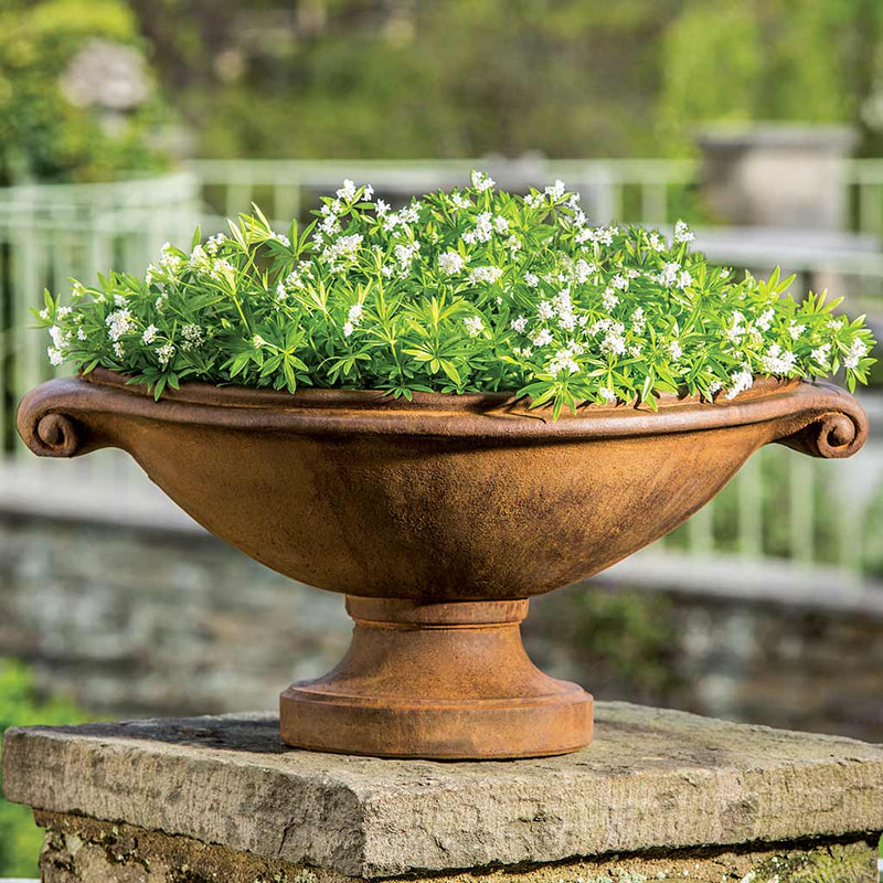 Campania International Medici Small Planter is shown in the Ferro Rustico Nuovo Patina. Made from cast stone.