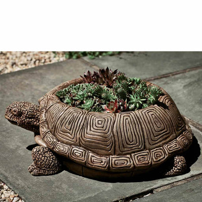 Campania International Turtle Planter, displayed in the best-selling hand-applied color.