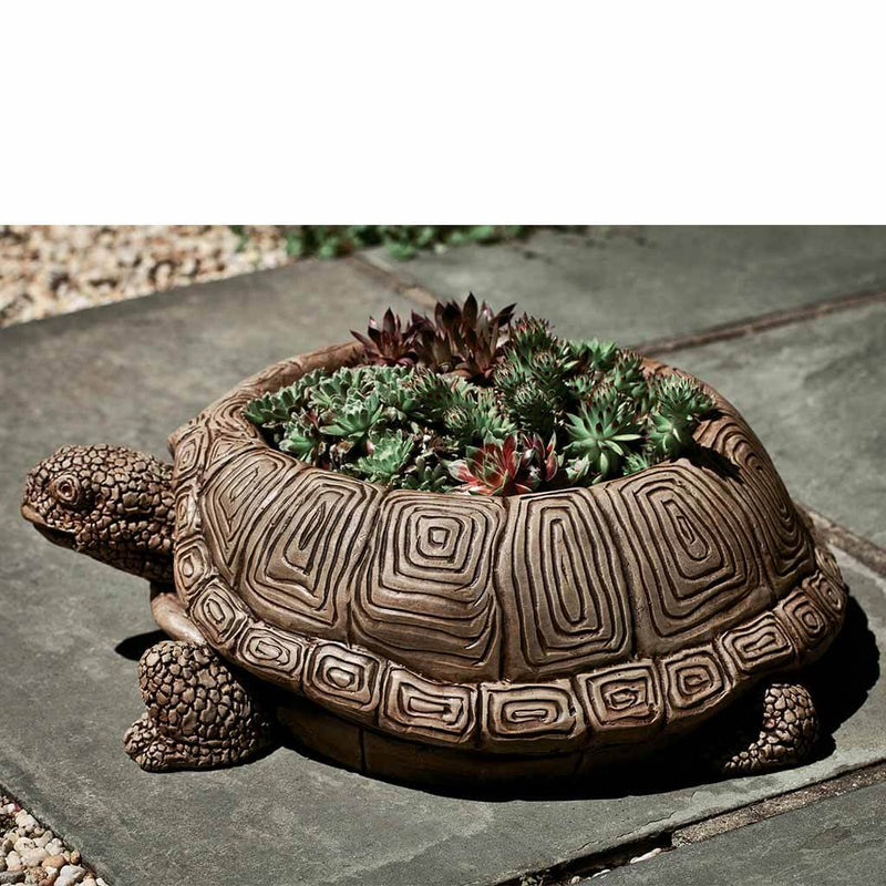 Campania International Turtle Planter, displayed in the best-selling hand-applied color.