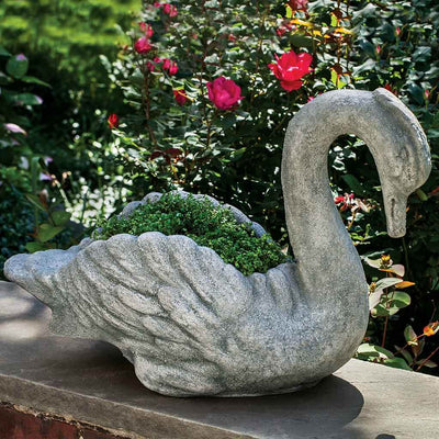 Campania International Newport Swan, displayed in the best-selling hand-applied color.