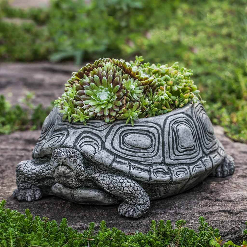 Campania International Turtle Small Planter is shown in the Alpine Stone Patina. Made from cast stone.