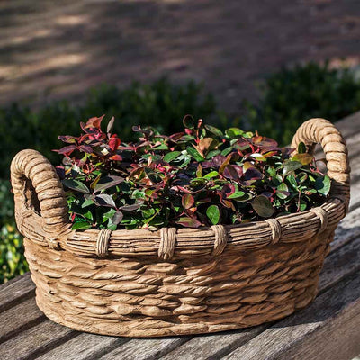Campania International Provencal Basket Planter, displayed in the best-selling hand-applied color.