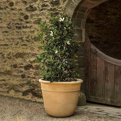 Campania International Carema Extra Large Planter, ready for plants, great for entryways or patios, shown in the Travertine Patina. Made from cast stone.