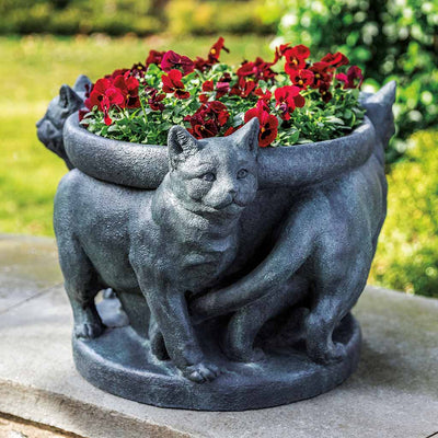 Campania International Cats Planter, displayed in the best-selling hand-applied color.