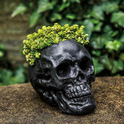 Campania International Skull Planter, creating a spooky ambiance with a bit of plants, shown in the Nero Nuovo Patina. Made from cast stone.