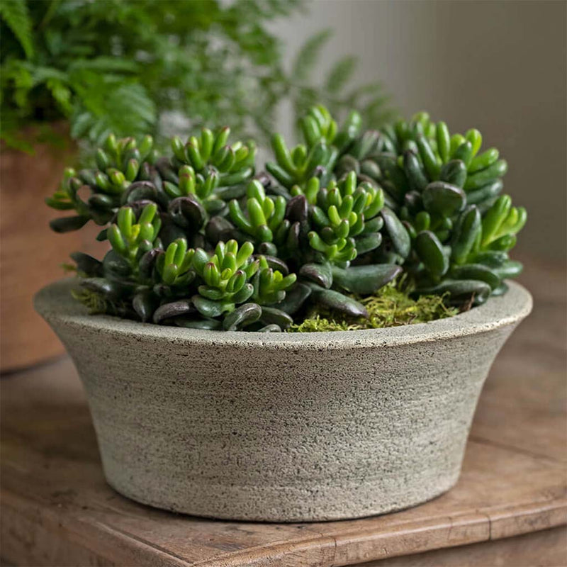 Campania International Bulb Planter, displayed in the best-selling hand-applied color.