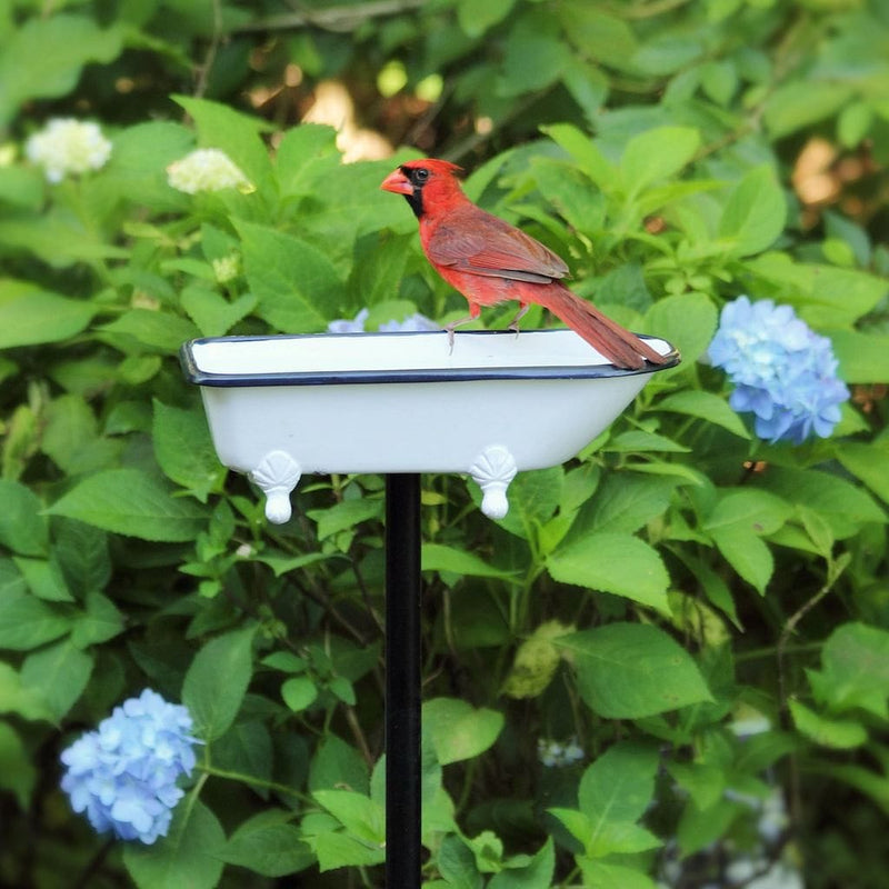 Good Directions Splish Splash Birdbath in Brass with White Finish