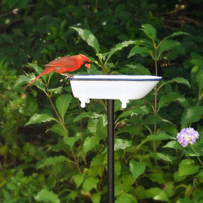 Good Directions Splish Splash Birdbath in Brass with White Finish