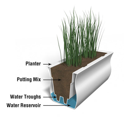 Mayne Valencia 3ft Window Box Planter cross section instructions on how the self-watering process works.