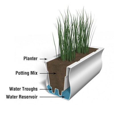 The Mayne Valencia 4ft Window Box Planter cross section instructions on how the self-watering process works.