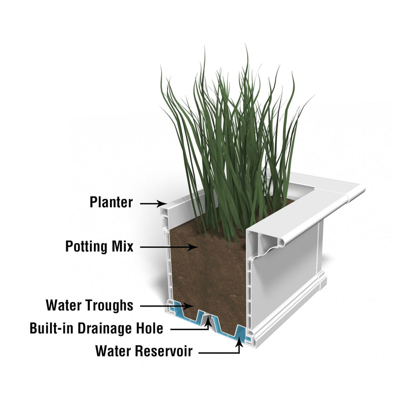 The Mayne Yorkshire 6ft Window Box cross section instructions on how the self-watering process works.